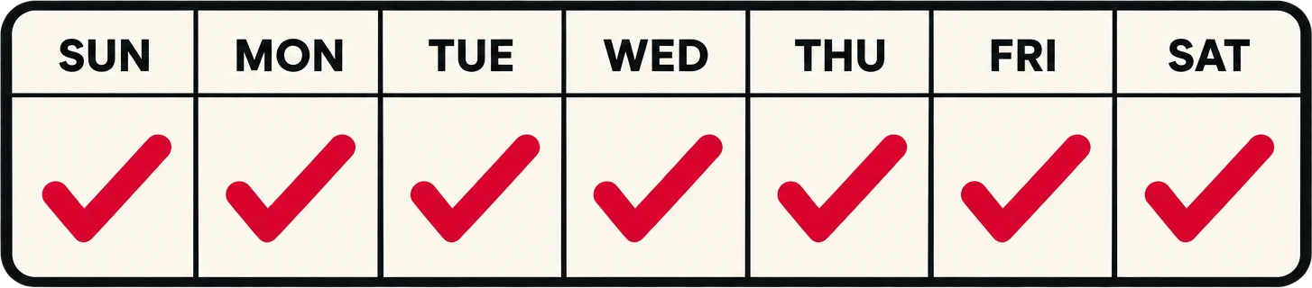 Seven-day calendar showing a completed one-week website build